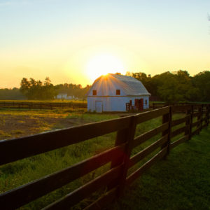 Sunrise Barn
