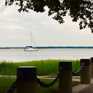 Sailing in Charleston Harbor