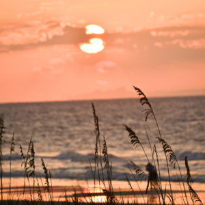 Surfside Sunrise thru Sea Oats 2